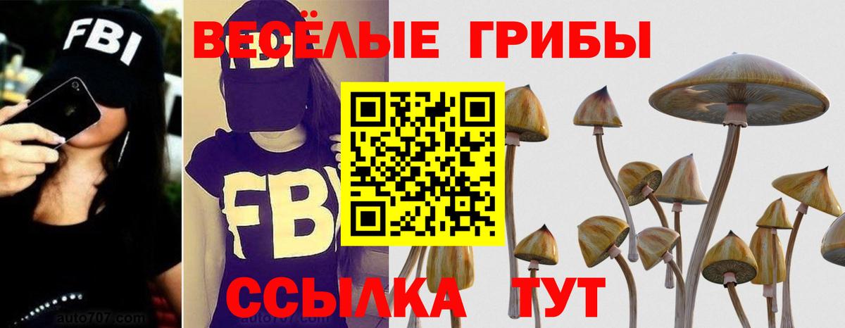 Галлюциногенные грибы прущие грибы  Вход с VPN  Калуга 